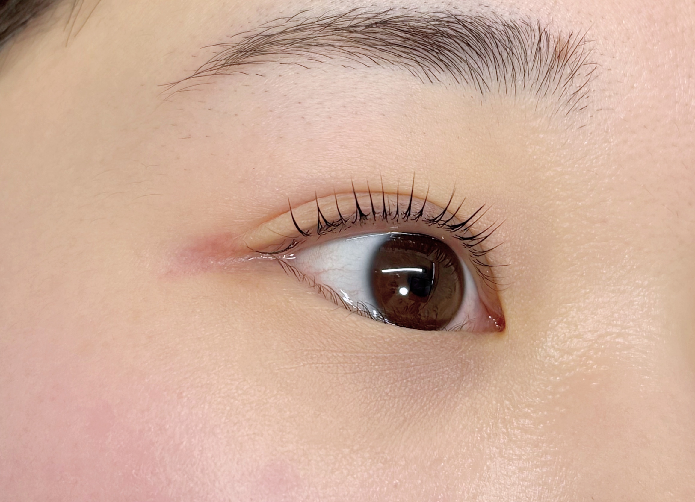 Lash Lift